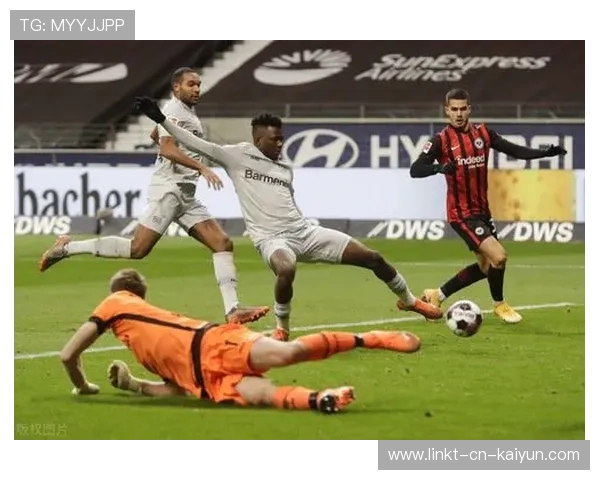 勒沃库森塔普索巴封堵范围极大