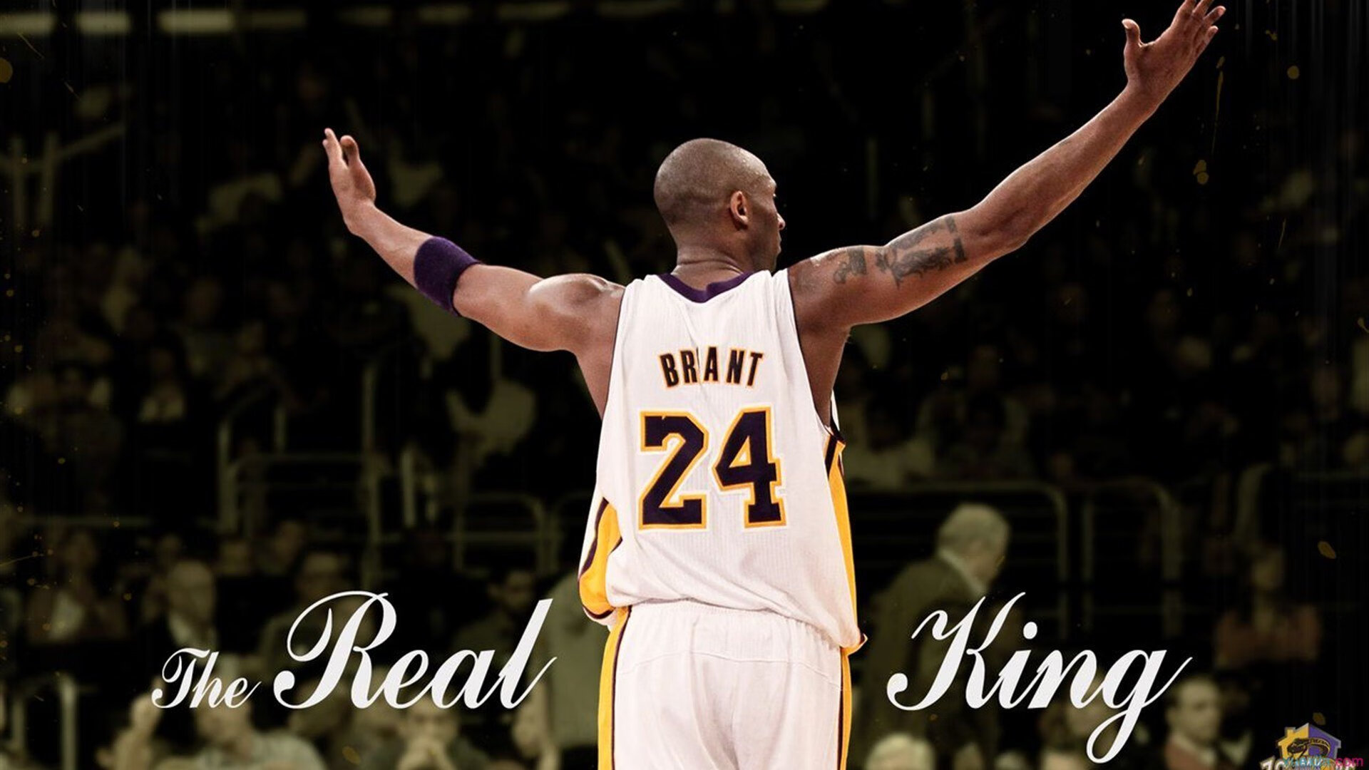 开云体育平台-中立B男选手在转身后发力能力提升